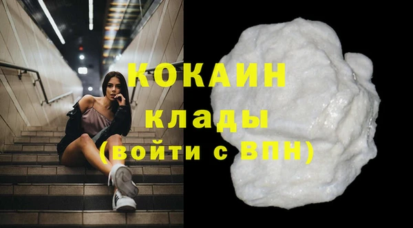 индика Наволоки