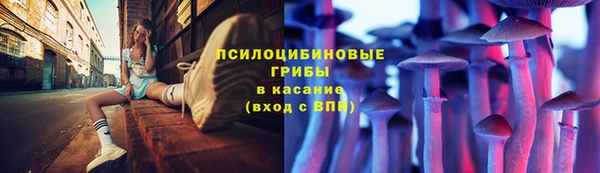индика Наволоки