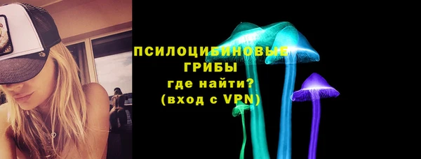 индика Наволоки