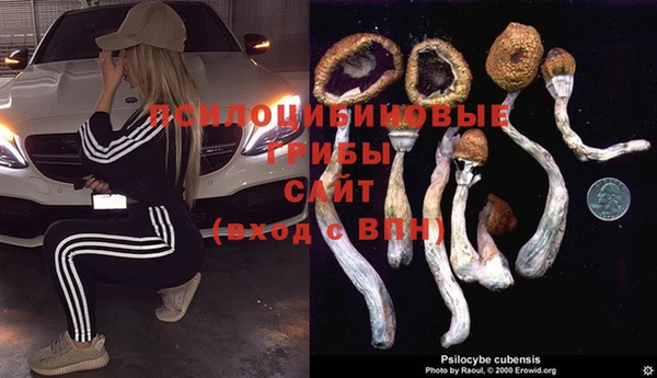 герыч Надым