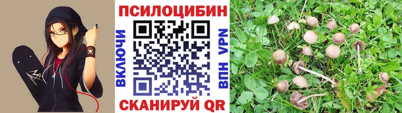 Псилоцибиновые грибы мицелий  Купить закладки  Семилуки 